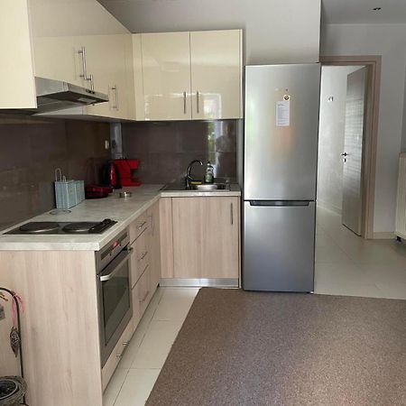 Errica Apartment Preveza Bagian luar foto